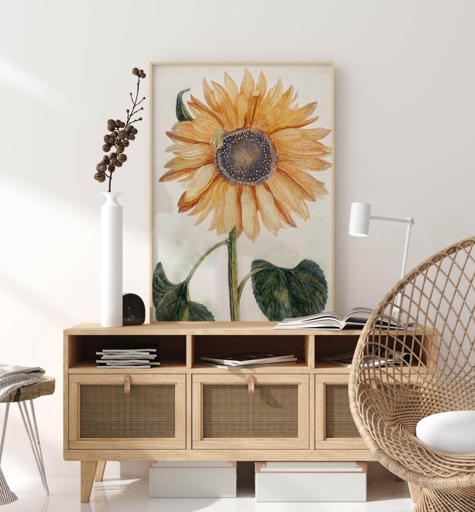 Sunflower Art Juliste