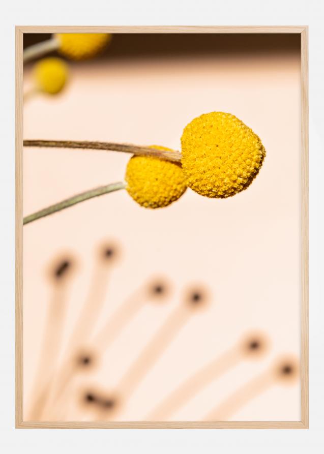 Small Yellow Flowers Juliste