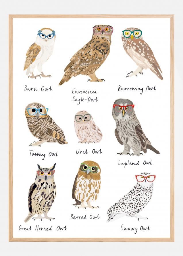 Owls In Glasses Print Juliste