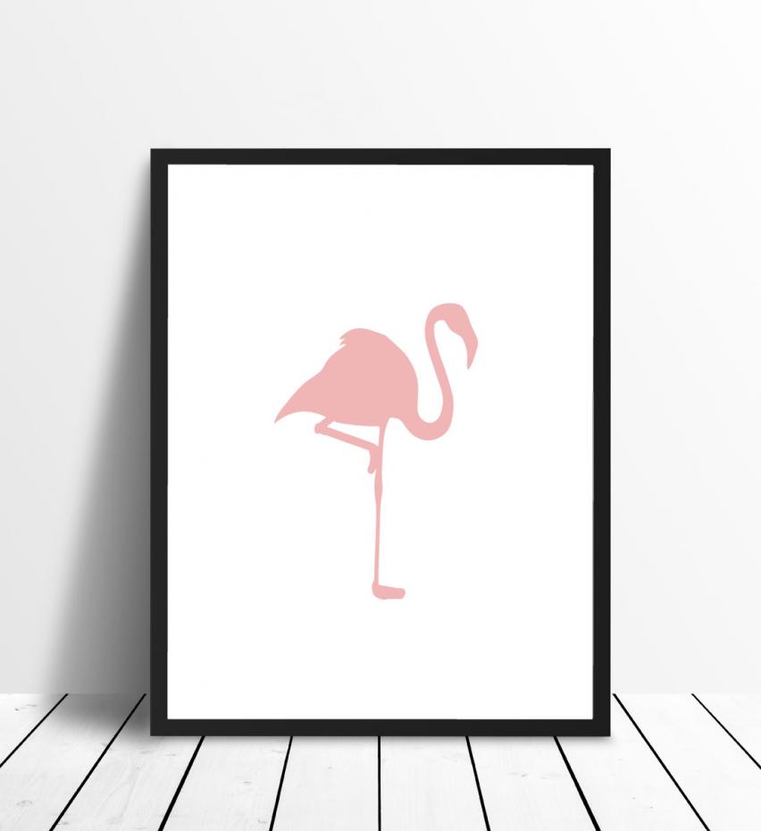 Flamingo - PuderVaalenpunainen Juliste