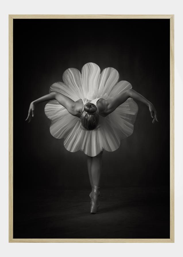 Floral Ballet Juliste