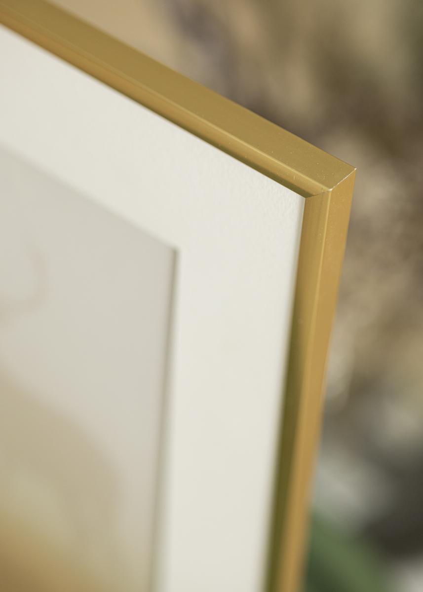 Kehys New Lifestyle Shiny Gold 15x20 cm - Passepartout Valkoinen 10x15 cm