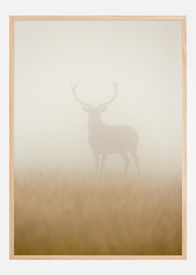 Ghost Stag Juliste