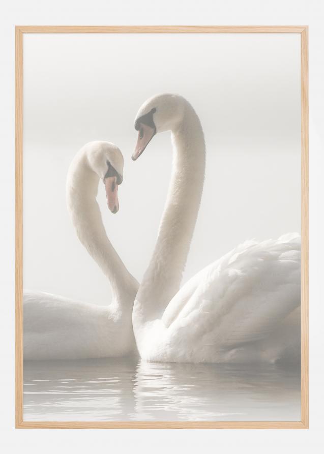 Swan Forever Juliste