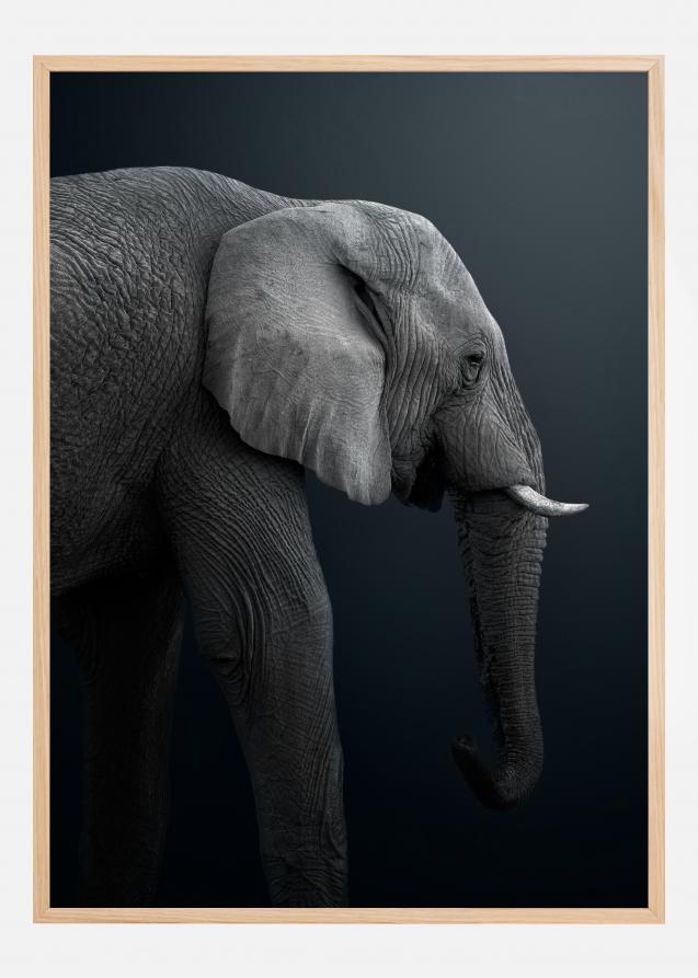 Namibian Elephant Juliste