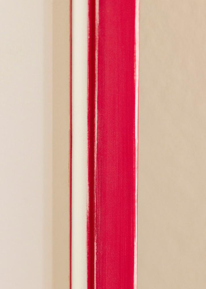 Kehys Diana Akryylilasi Punainen 84,1x118,9 cm (A0)