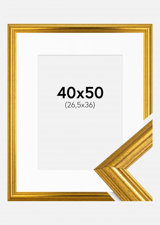 Kehys Västkusten Kulta 40x50 cm - Passepartout Valkoinen 27,5x37 cm