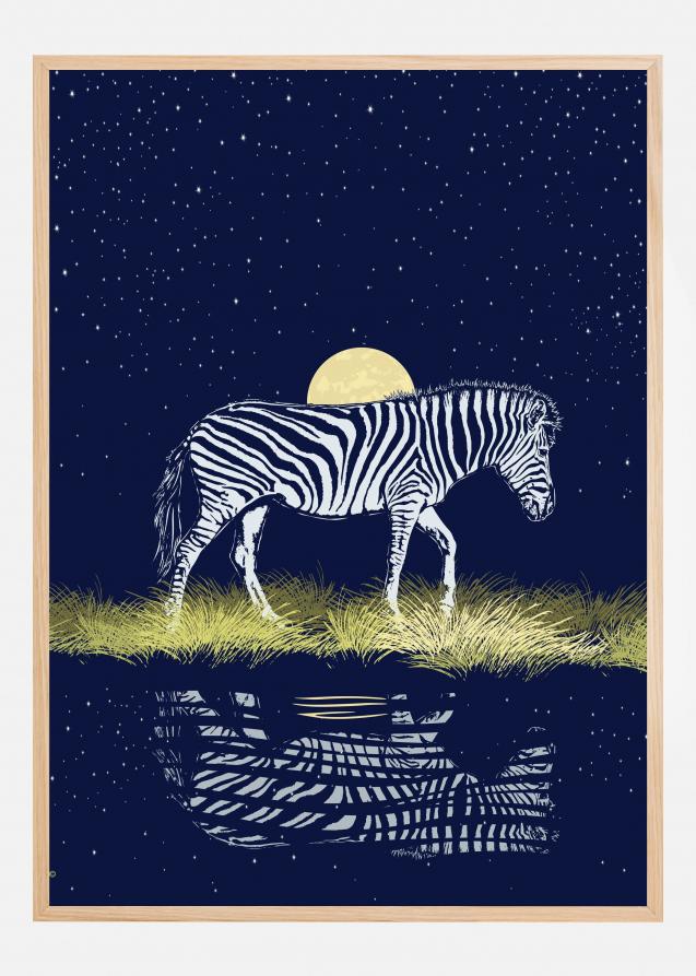 Zebra at Waterhole Moonrise Juliste