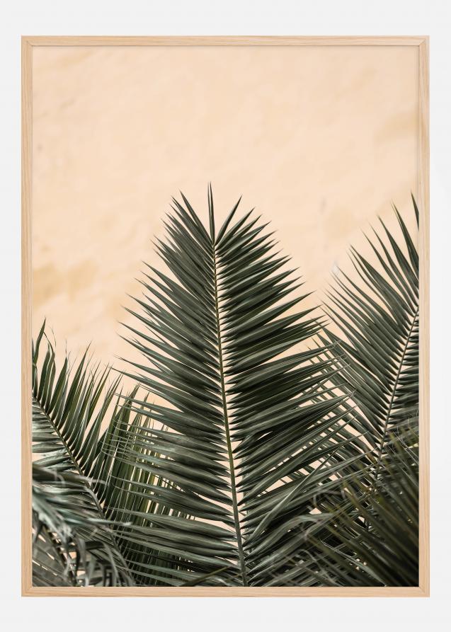 Palm leaves and wall Juliste