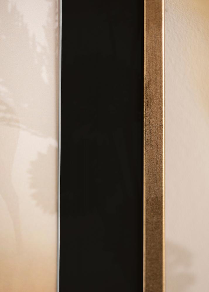 Kehys Galant Kulta 30x40 cm - Paspatuuri Musta 21x29,7 cm (A4)