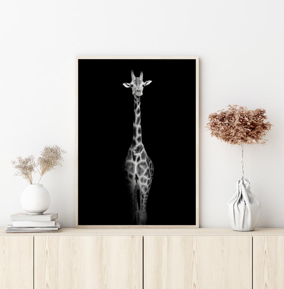 Stunning giraffe Juliste