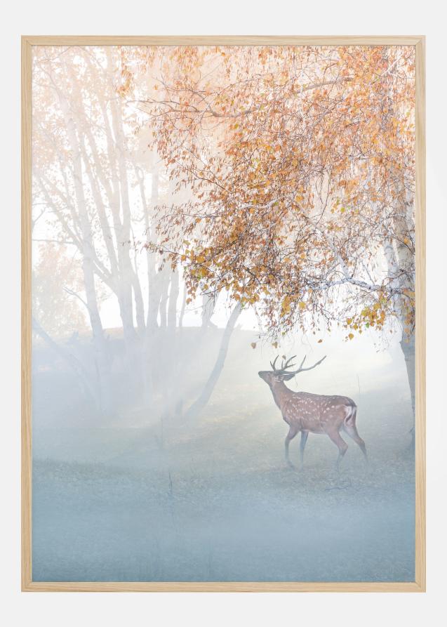Elk Lost In Mist Juliste