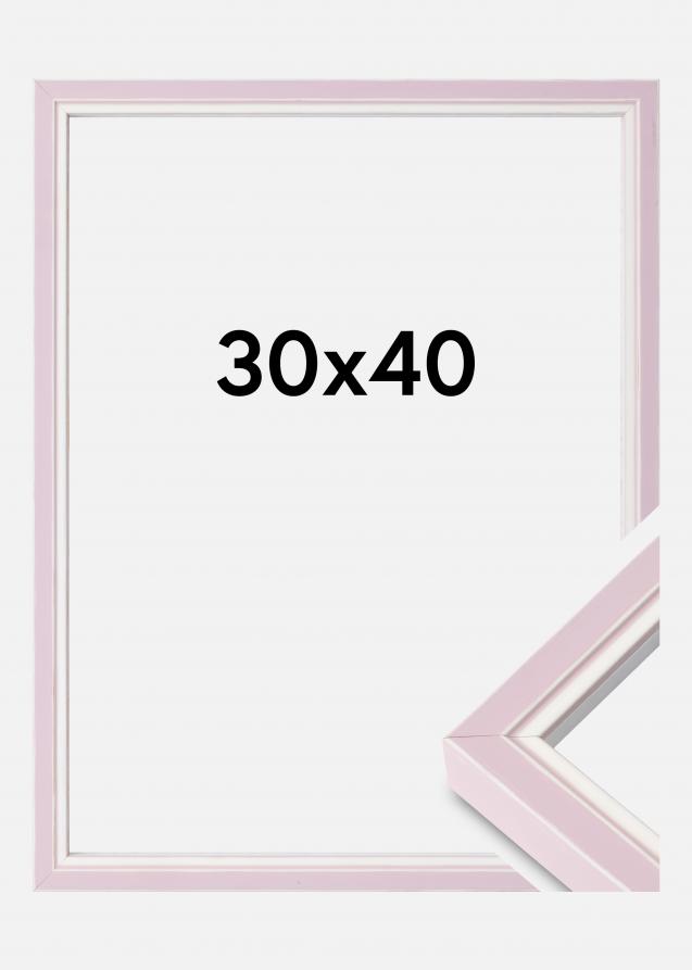 Kehys Diana Akryylilasi Pink 30x40 cm