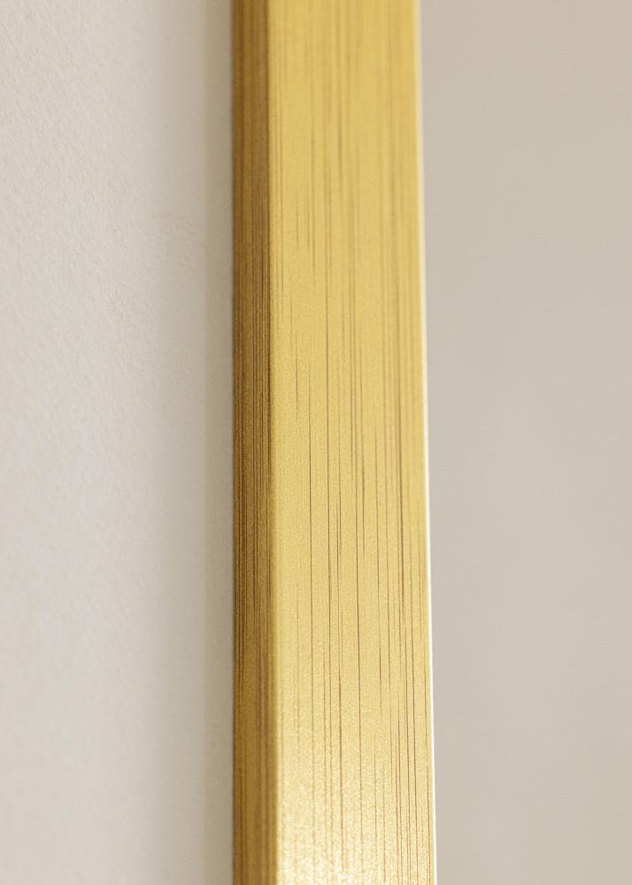 Kehys Gold Wood Akryylilasi 18x24 inches (45,72x60,96 cm)