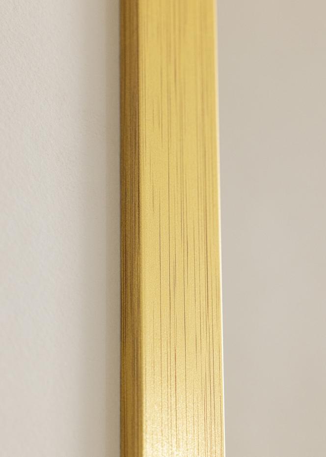 Kehys Gold Wood Akryylilasi 50x100 cm