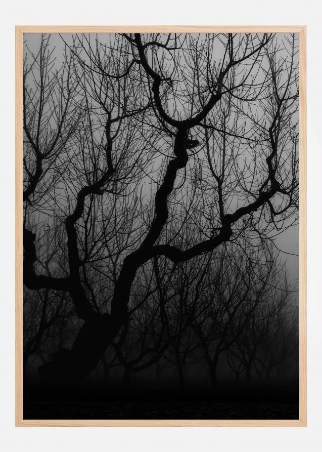 Dark trees Juliste