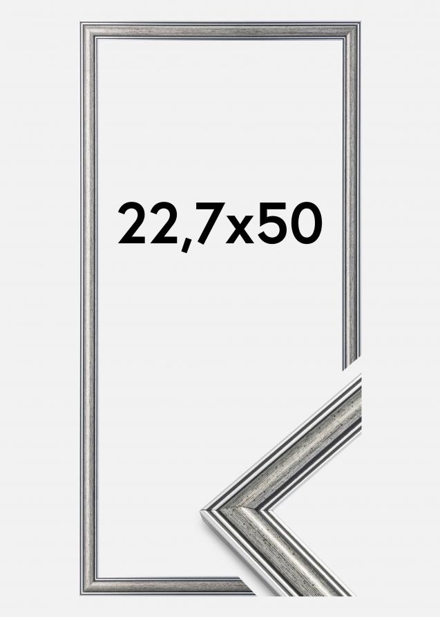 Kehys Frigg Hopeanvärinen 22,7x50 cm