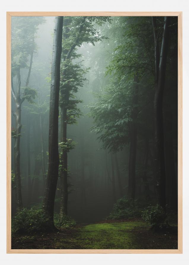 Mysterious forest Juliste