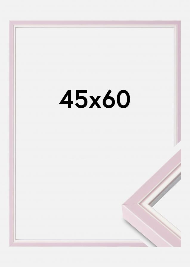 Kehys Diana Akryylilasi Pink 45x60 cm