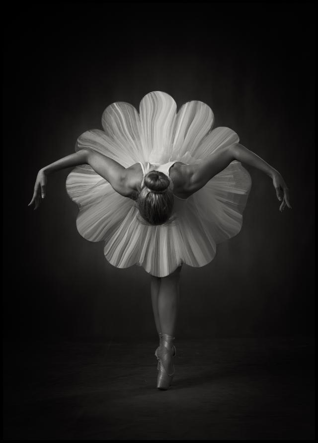 Floral Ballet Juliste
