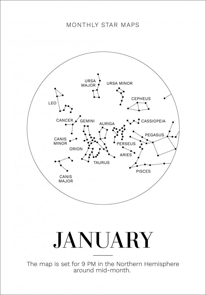 Monthly star January Juliste