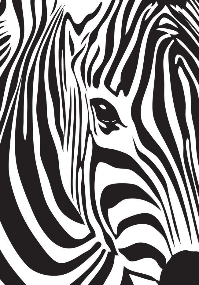 Zebra Juliste