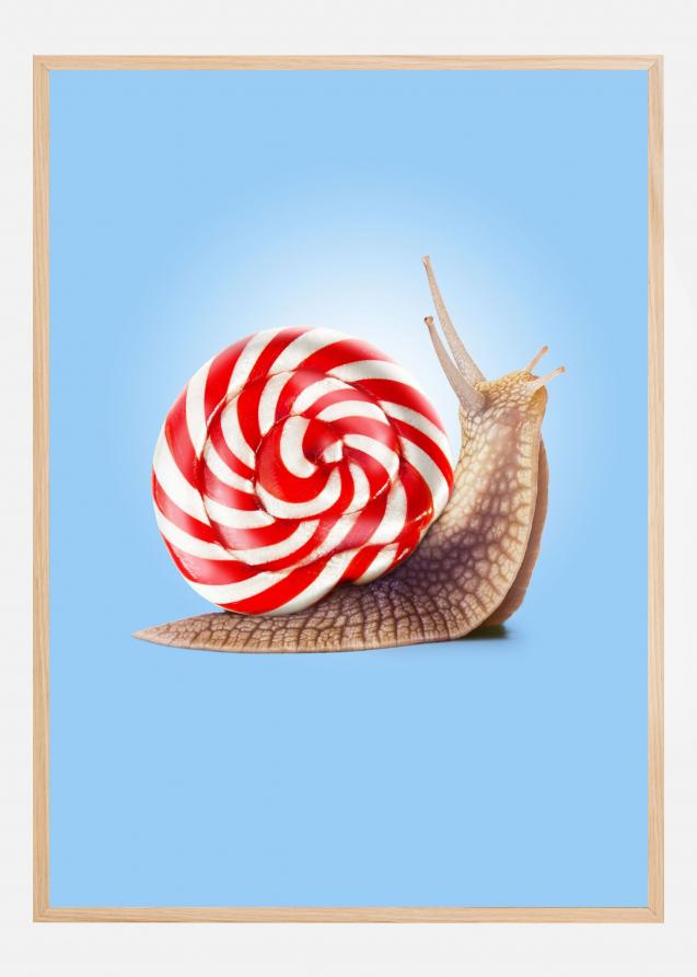 Snail Candy Juliste