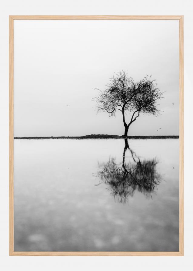 Lonely Tree Reflection Juliste