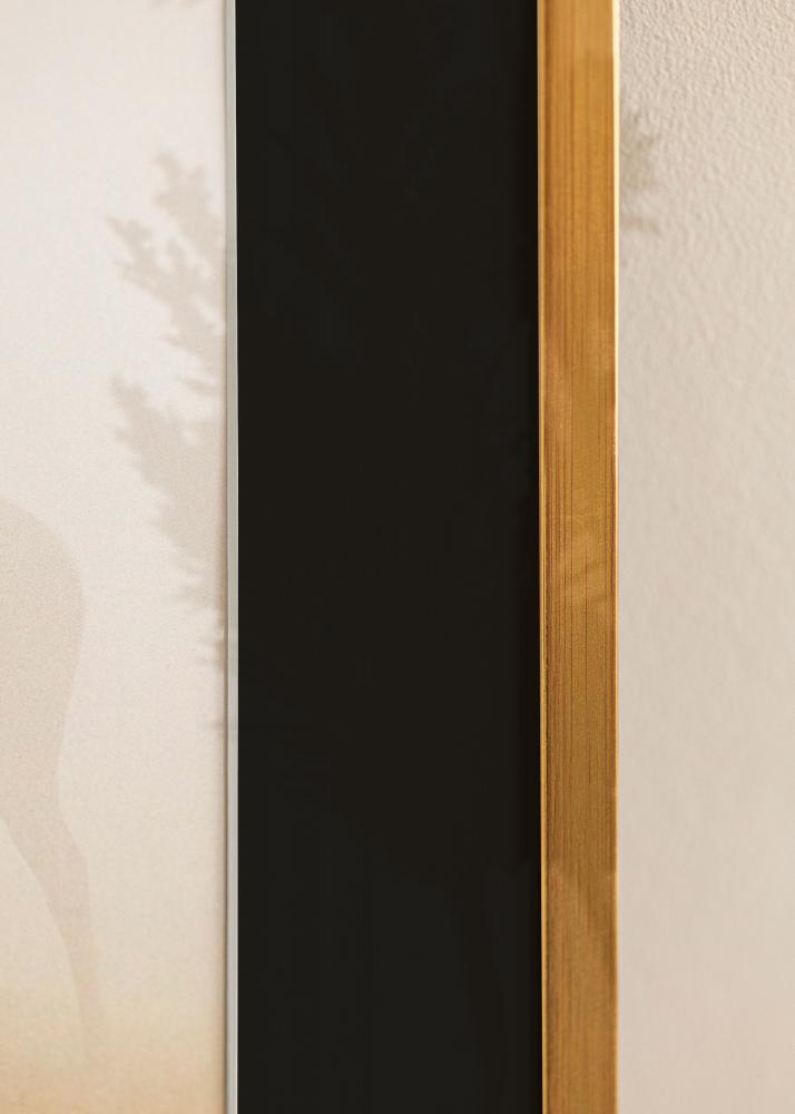 Kehys Edsbyn Kulta 40x50 cm - Paspatuuri Musta 27,5x37 cm