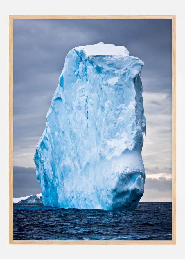 Iceberg Juliste