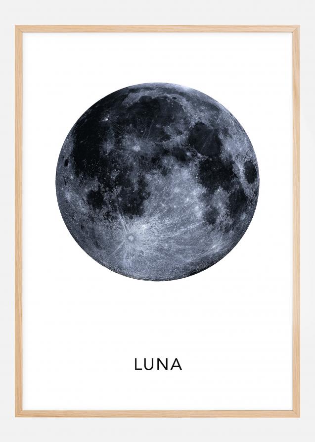 Luna Poster Juliste