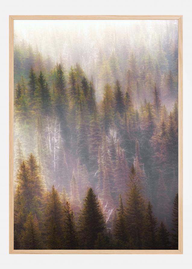Misty Mood in the Forest Juliste