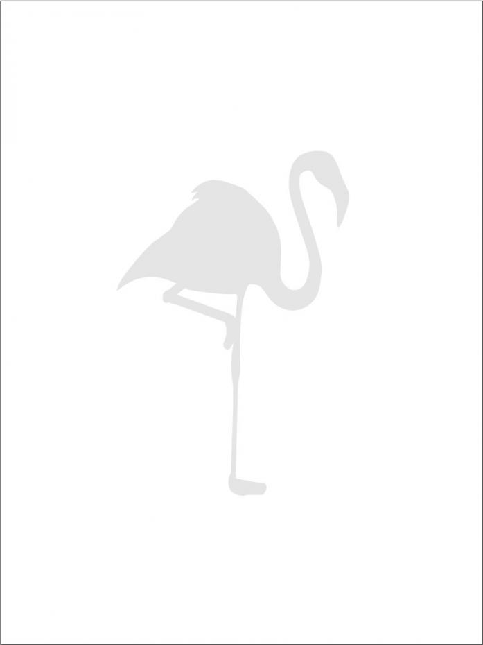 Flamingo - Harmaa