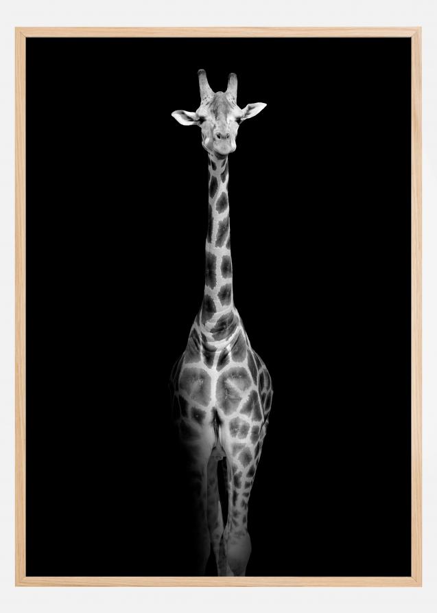 Stunning giraffe Juliste
