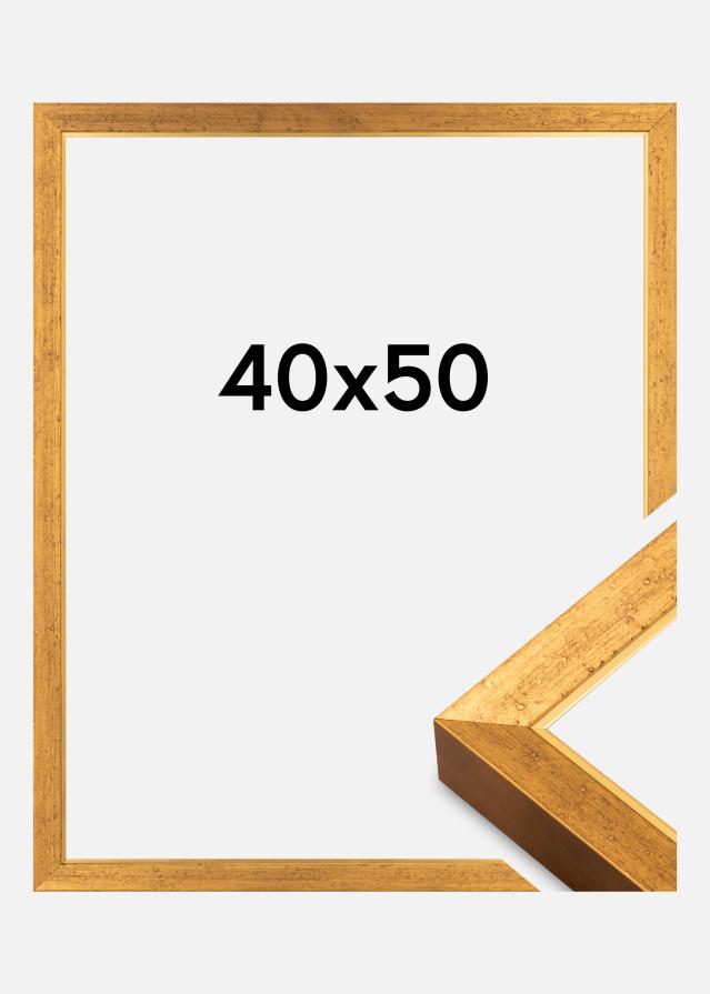 Kehys Brema Akryylilasi Kulta 40x50 cm