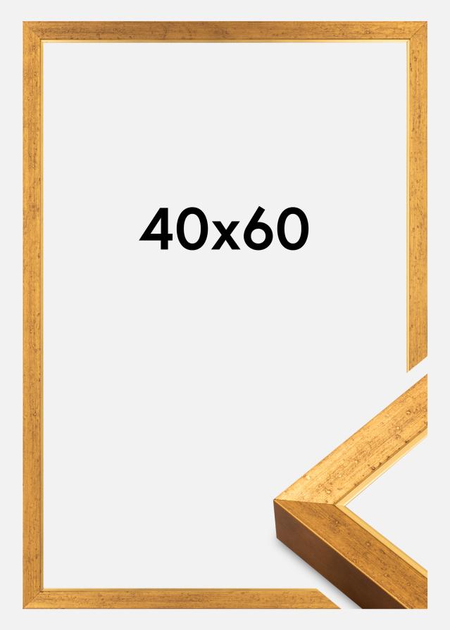 Kehys Brema Akryylilasi Kulta 40x60 cm