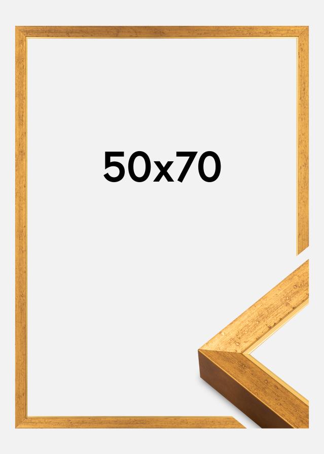 Kehys Brema Akryylilasi Kulta 50x70 cm