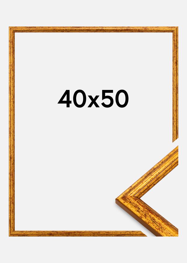 Kehys Claudia Akryylilasi Kulta 40x50 cm