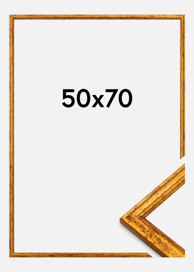 Kehys Claudia Akryylilasi Kulta 50x70 cm