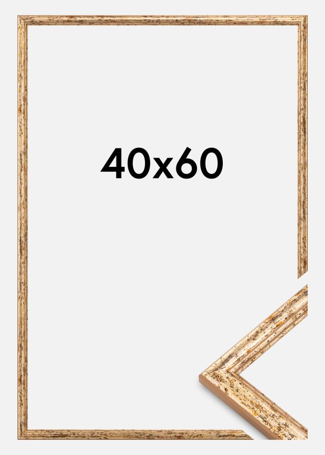 Kehys Claudia Akryylilasi Hopea 40x60 cm