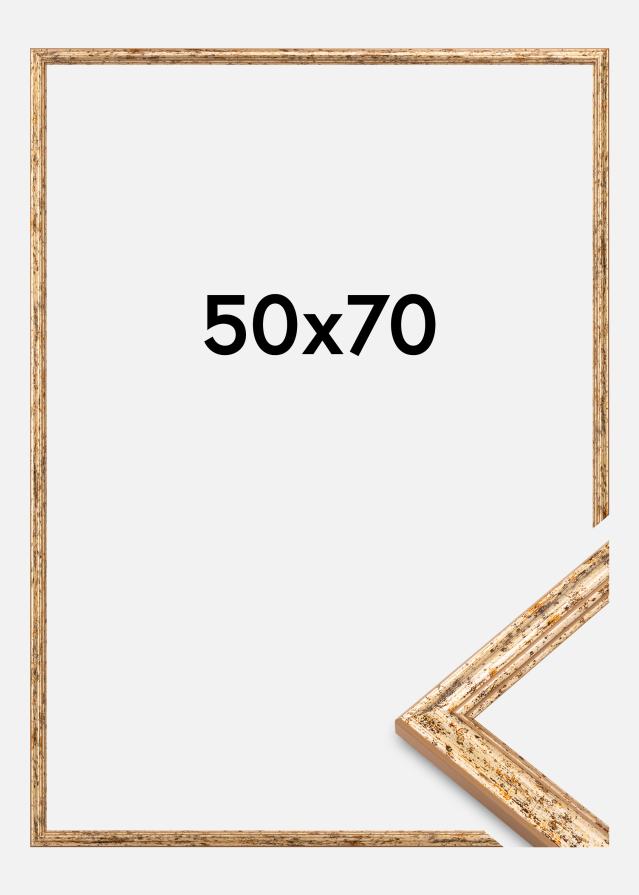 Kehys Claudia Akryylilasi Hopea 50x70 cm
