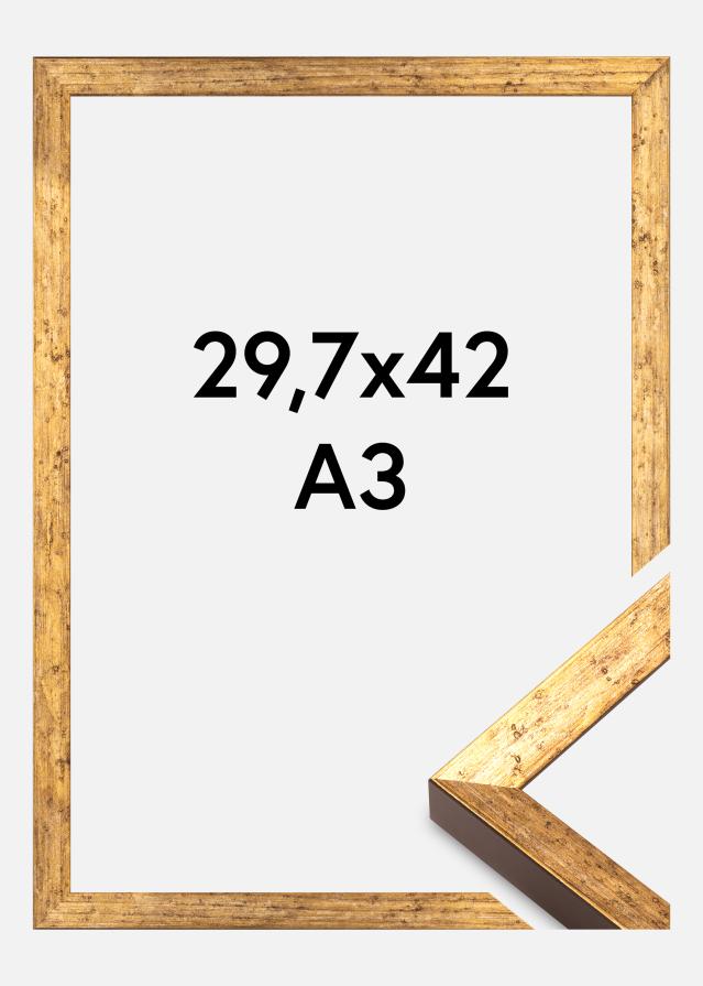 Kehys Dune Akryylilasi Kulta 29,7x42 cm (A3)