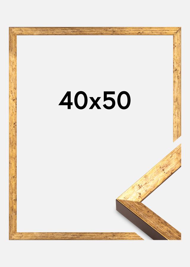Kehys Dune Akryylilasi Kulta 40x50 cm