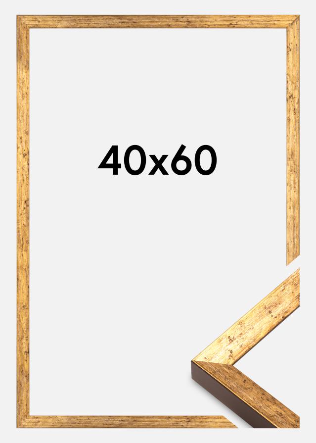 Kehys Dune Akryylilasi Kulta 40x60 cm