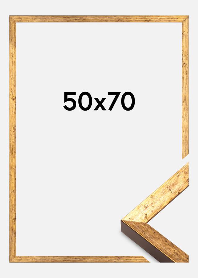 Kehys Dune Akryylilasi Kulta 50x70 cm