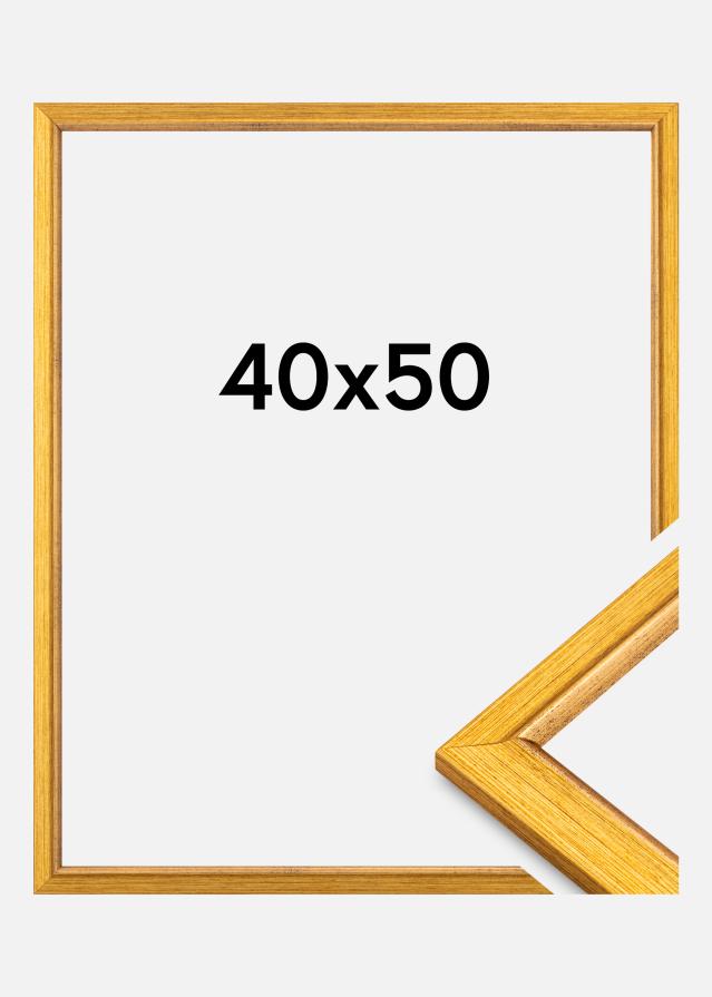 Kehys Marisa Akryylilasi Kulta 40x50 cm
