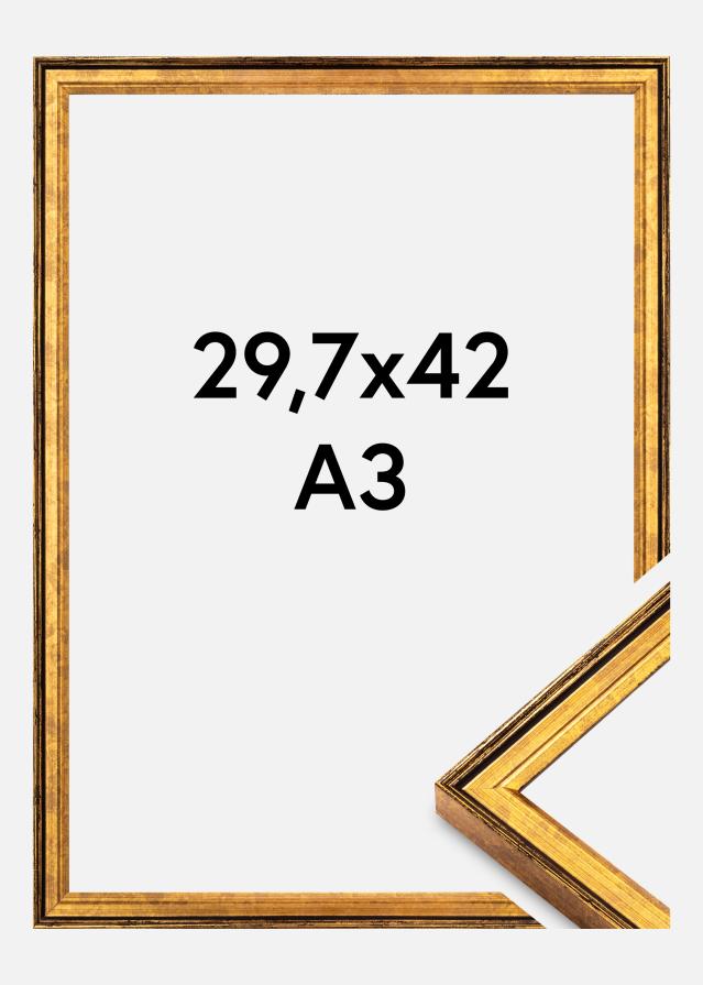 Kehys Ringa Akryylilasi Kulta 29,7x42 cm (A3)