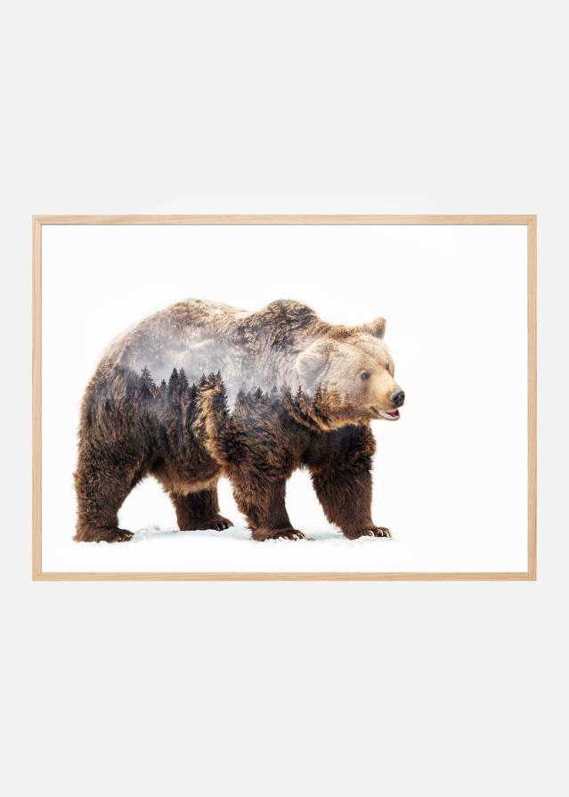 Bear Juliste