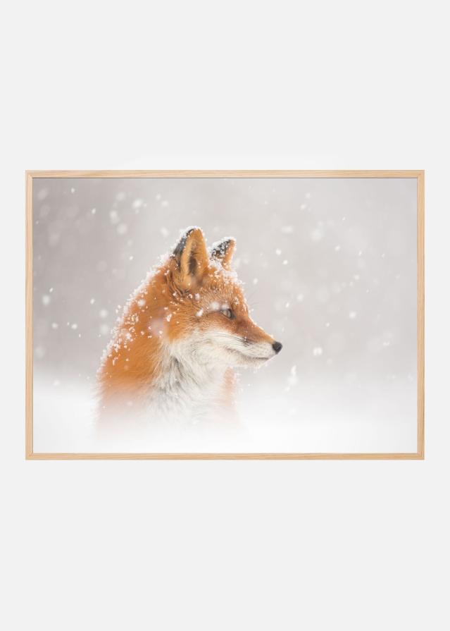 Snow is fallingab Juliste