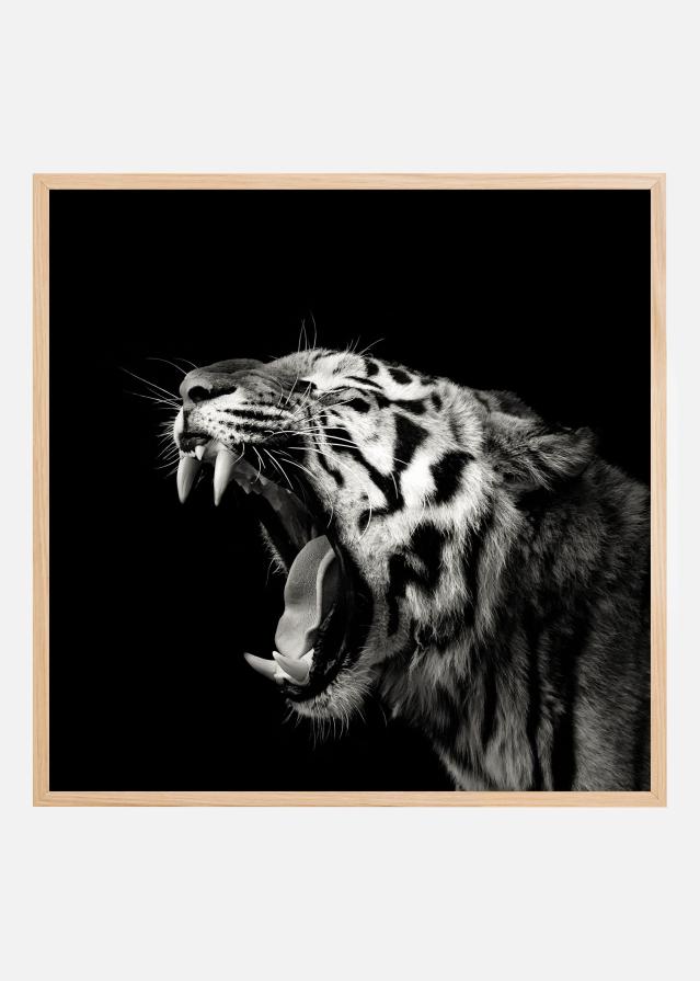 Primal Yawn #4 Juliste